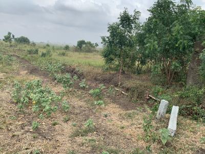 Perfect Size for Residential Living 70 X 100ft, Dawhenya, Accra Metropolitan, Accra, Residential Land for Sale