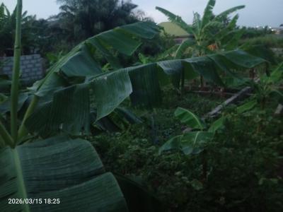 Land at Ashongman Pure Water, Manna Police Station, La Nkwantanang Madina Municipal, Accra, Mixed-use Land for Sale