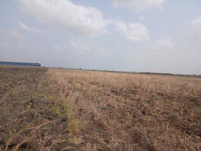 Litigation-free Land at Destination, Dawhenya, Tema, Accra, Residential Land for Sale