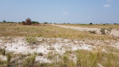 Prime Tsopoli Plot -- Secure Investment Opportunity, Tsopoli, Accra Metropolitan, Accra, Residential Land for Sale