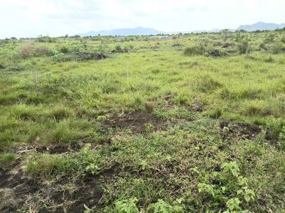 Own a Genuine 70x50ft Plot at Shai Hills, Shai Hills School Junction, Shai Osudoku, Accra, Mixed-use Land for Sale