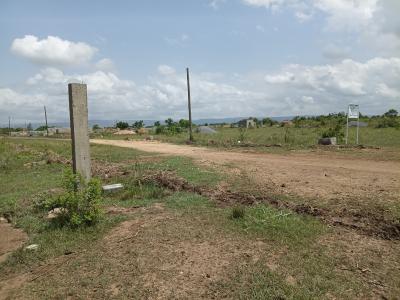 Affordable Land 70x50ft at Shai Hills, Shai Hills School Junction, Shai Osudoku, Accra, Mixed-use Land for Sale