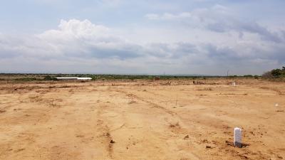 Secure Your Peace: Budget-friendly Suburban Land, Zion City, Dawhenya, Tema, Accra, Land for Sale