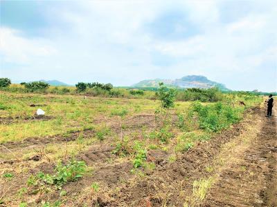 Get Your Legit 70x100ft Plot  at an Affordable Price., Dawhenya, Accra Metropolitan, Accra, Residential Land for Sale
