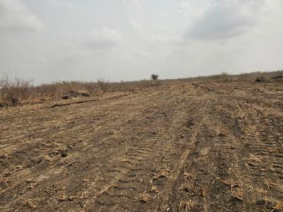 70x50ft Serviced Plots Available, Tsopoli Skyport City, Tsopoli, Ningo Prampram District, Accra, Mixed-use Land for Sale