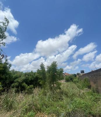 Titled Plot of Land @ Adjringanor, Adjiringanor, East Legon, Accra, Mixed-use Land for Sale