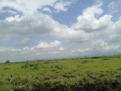Shai Hills Half Plot -- Genuine & Secure, Naason City Project, Shai Hills, Shai Osudoku, Accra, Mixed-use Land for Sale
