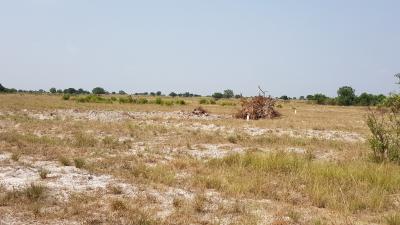 Tsopoli- Future Investment Paradise., Tsopoli, Accra Metropolitan, Accra, Residential Land for Sale