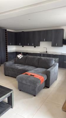 Furnished 1 Bedroom, Ars, East Legon, Accra, Mini Flat for Rent