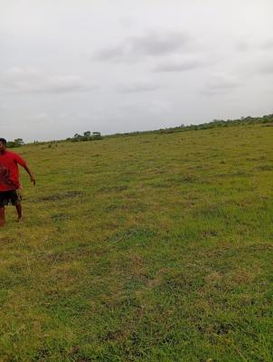Premium Residential Plots at Shai Hills, Dedenya, Shai Hills, Shai Osudoku, Accra, Land for Sale
