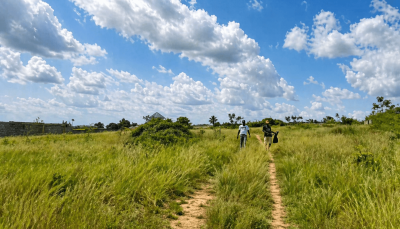 Registered Serviced Plots at Nsawam Teacher Mante, Nsawam Teacher Mante, Suhum/kraboa/coaltar, Eastern Region, Land for Sale