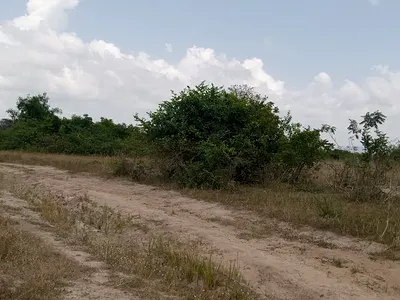 Plots of Land — Afienya Mobole-Tema Michelle Camp Road, Afienya, Tema, Accra