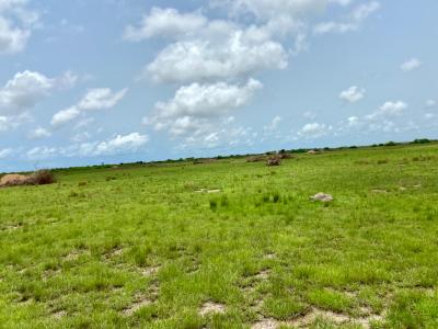 Registered Land Available at Ada Atortorkope, Big Ada, Ada Foah - Kasseh Road, Near Ada Kasseh and Big Ada, Ada East, Accra, Mixed-use Land for Sale
