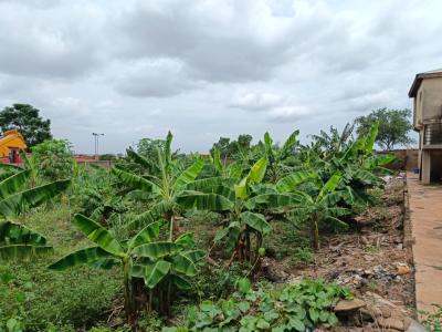 Plot.    3rd Plot Main Highway Road, Afrancho, After Kronum., Kumasi Metropolitan, Ashanti, Residential Land for Sale