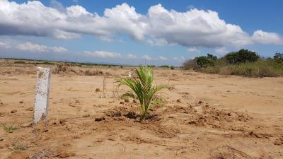 Buy a 70x100ft Land at Tsopoli Skyport City with Confidence, Skyport City, Tsopoli, Ningo Prampram District, Accra, Mixed-use Land for Sale