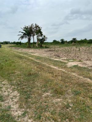 Land Available at Sogakope -- Awusakpoe, Sogakope -  Ho Adidome Road, Awusakpoe, South Tongu, Volta Region, Mixed-use Land for Sale