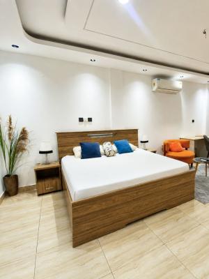 Executive Fully Furnished Studio, Tse Addo, Accra, Commercial Property for Rent