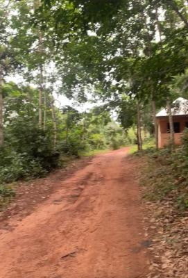 Registered 6 Plots Just Around Safari Valley Eco Park-adukrom,eastern, Safari Valley Eco Park, Akuapim North, Eastern Region, Mixed-use Land for Sale