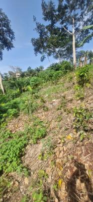 Registered Freehold 2 Plots Land, Aburi Mountains, Apostolic Church, Aburi, Akuapim South Municipal, Eastern Region, Land for Sale