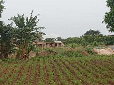 4 Prime Plots Near Aamusted Campus Mampong -- Ideal for Hostels, Gwcl Head Works Road, Mampong Municipal, Ashanti, Land for Sale