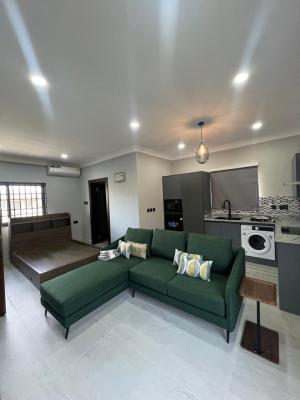 Executive Fully Furnished Studio, Sakumono, Tema, Accra, Shop for Rent