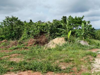 Plot, Asonomaso Sarfo, Near Mampongteng., Kumasi Metropolitan, Ashanti, Residential Land for Sale