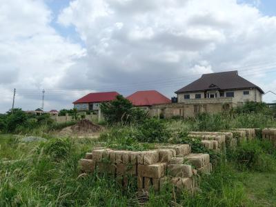 Half Plot, Mampongteng Nicho City, Near Kenyasi Bosore/ Adwumam, Kumasi Metropolitan, Ashanti, Residential Land for Sale