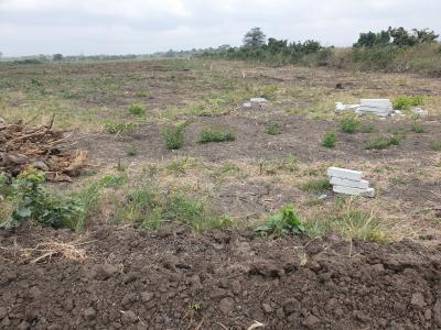 Affordable Luxuiry Lands with Free Documentation, Tsopoli Police Barrier, Tsopoli, Ningo Prampram District, Accra, Residential Land for Sale