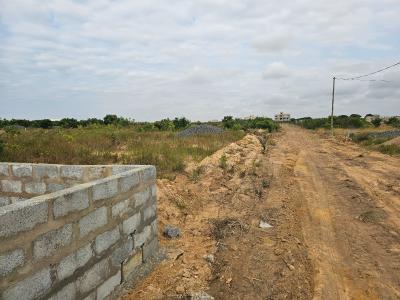 Super Reduction on Our Lands at Prampram- City of David
