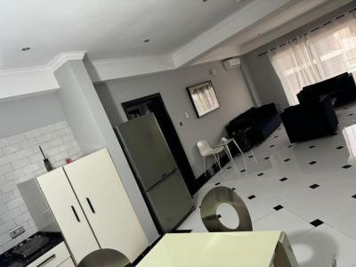 Furnished 2 Bedroom Apartment with Swimming Pool