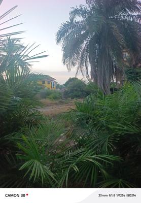 Prime Land