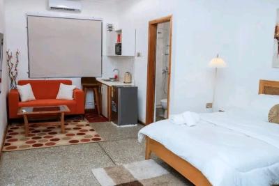 Fully Furnished Studio Apartment
