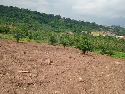 Waterlog Free Lands with Beautiful View // Negotiable