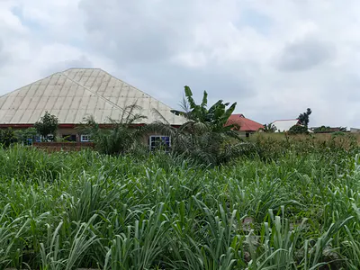 Plot.