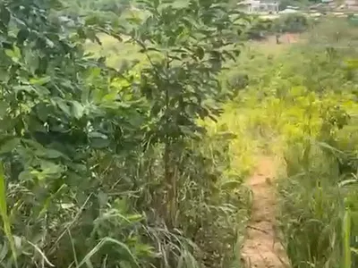 Roadside Lands for Sale