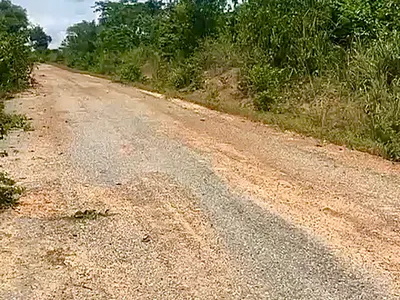 Roadside Lands for Sale