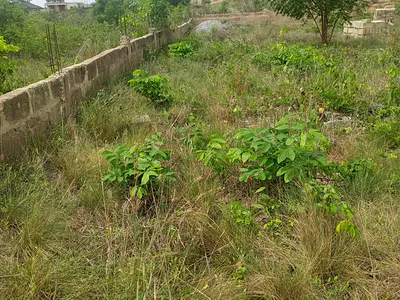 70*100 Land 1 Plot