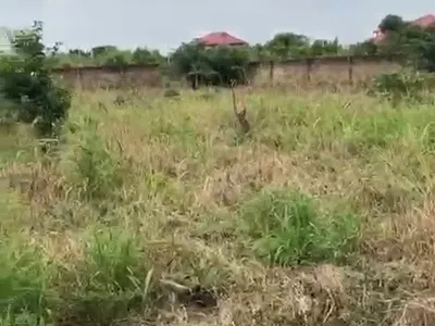 2 Plots Titled