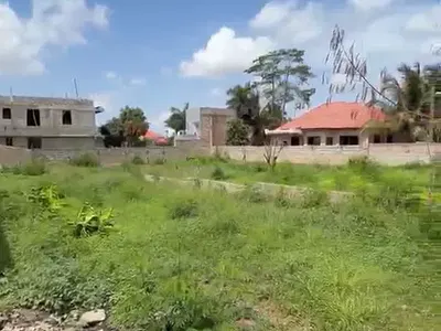 Two and Half Plot of Land