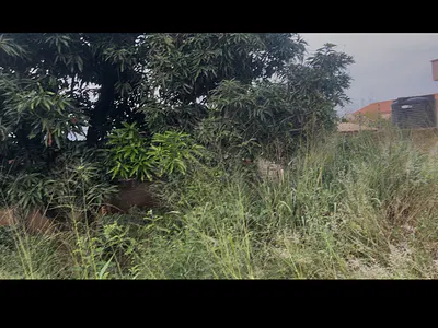 A Land