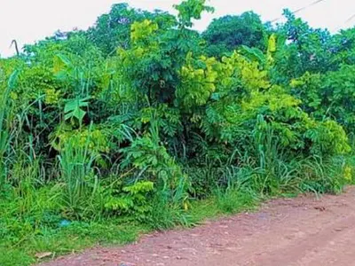 Prime 60-Acre Farmland