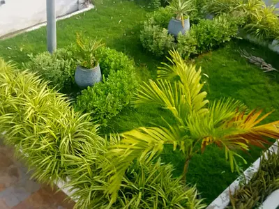 Luxury 3 Bedroom House in Cantonment