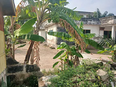 Dansoman Land