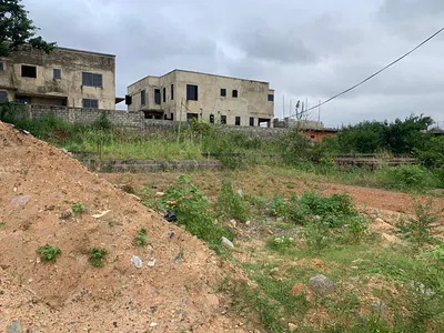 Half Plot of Land