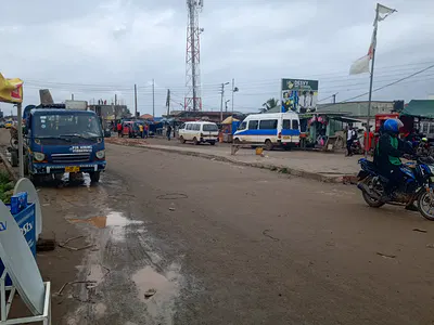 Roadside Plot