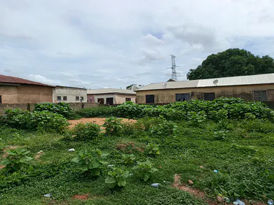 Plot