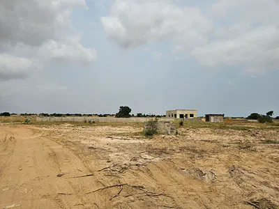 Golden Horizon -Own Land Where Value Rises