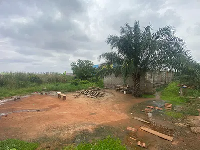 Executive 6 Plots