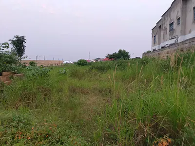 Plot