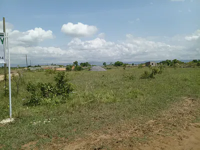 70X100FT Full Plot Land--- Ready for Your Dream Home